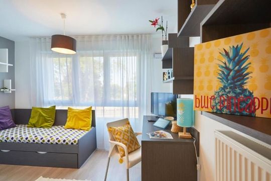 Étudiante Nemea Villeneuve Pont de Bois - VILLENEUVE D'ASCQ