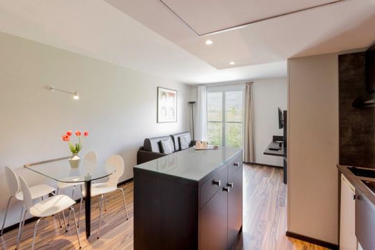 Best Western Park Hotel Geneve Thoiry - THOIRY