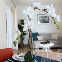 Domusvi Les Terrasses du Revest - LE REVEST LES EAUX