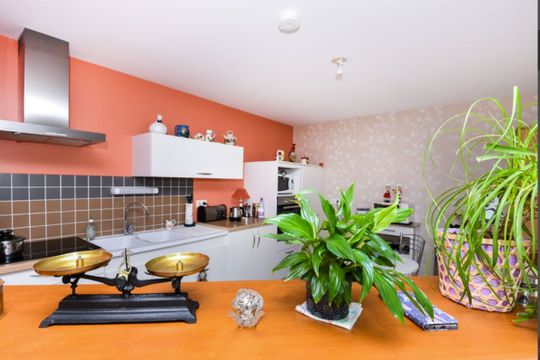 Idylia - Albertine - ALBERT