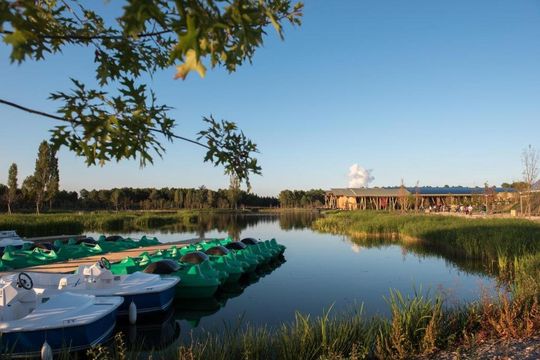 Center Parcs - Le Bois aux Daims - Morto - MORTON