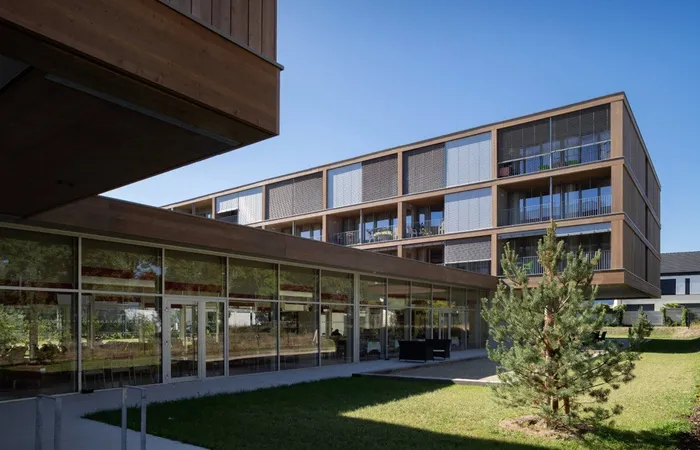 Damecosi Haguenau - HAGUENAU