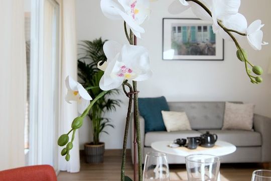 Domusvi Les Terrasses du Revest - LE REVEST LES EAUX