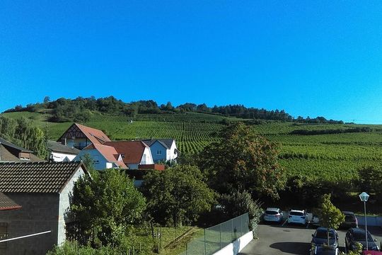 Odalys Le Domaine des Rois - BERGHEIM