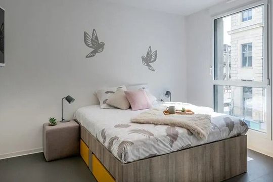 All Suites Study Bordeaux Centre Gare - BORDEAUX