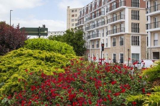 Les Activiales Les Berges du Canal - CHELLES