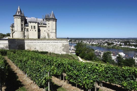 Terres de France Le Domaine Du Golf - SAUMUR