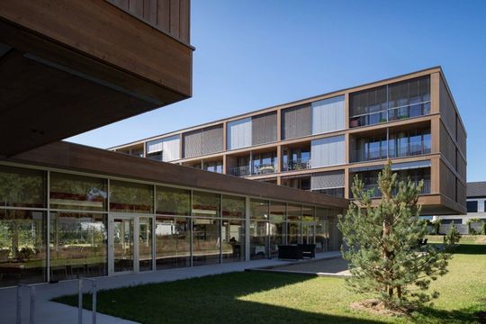 Damecosi Haguenau - HAGUENAU