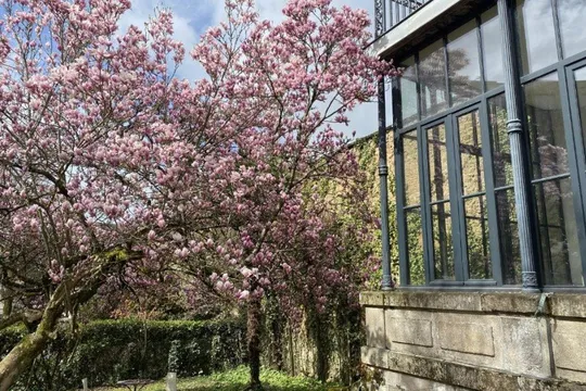 MP Gestion Villa Beaupeyrat - LIMOGES