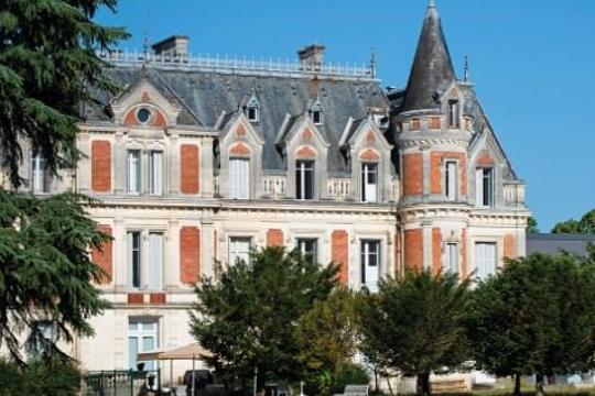 Château de Cressé - BOURG CHARENTE