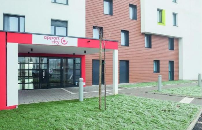Appart'City Confort Strasbourg Aéroport - ENTZHEIM