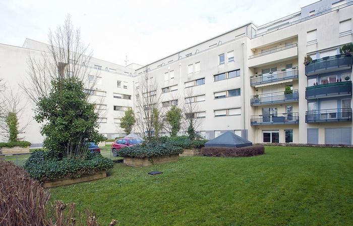 Stanislas, Les estudines - NANCY