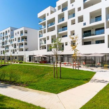 Stella Danaé Le Domaine des Vignes - LE BOUSCAT